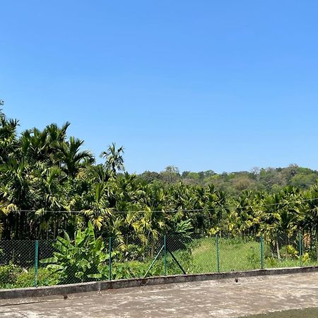 Emerald Castle Villa Madikeri Zewnętrze zdjęcie