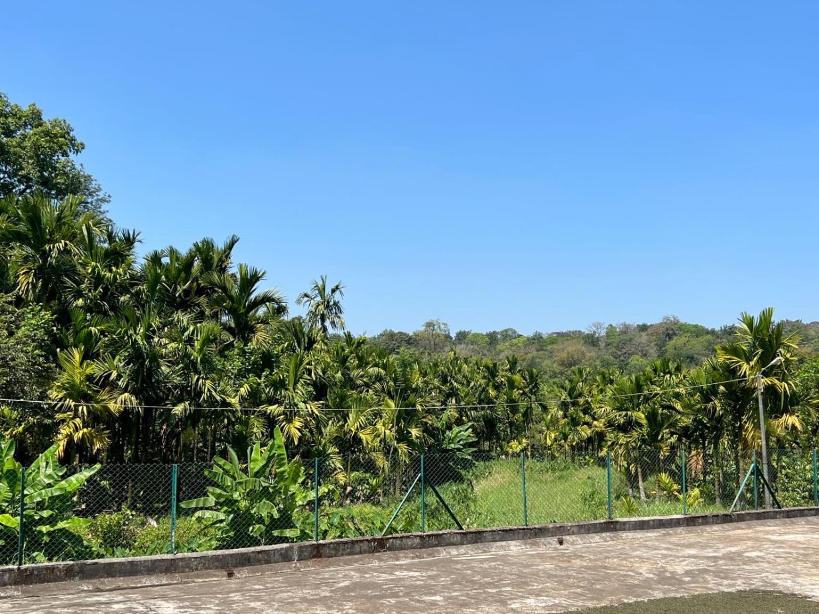Emerald Castle Villa Madikeri Zewnętrze zdjęcie